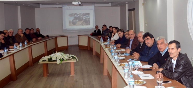 Salihlili Zeytinciler Markalaşma Arayışında