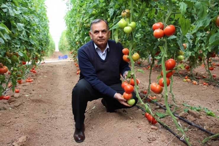 Ziraat Odasından "Yemeğimize Zehir Katılıyor" Haberine Tepki