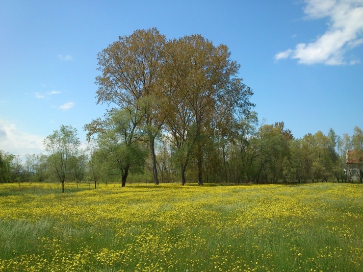 Doğal Ve Kültürel Miras Gelecek Kuşaklara Aktarılacak
