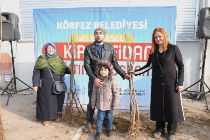 Körfez Belediyesi’nden Her Bahçeye Kiraz Fidanı