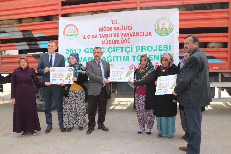 Niğde’de Genç Çiftçilere Bin 443 Küçükbaş Hayvan Verildi