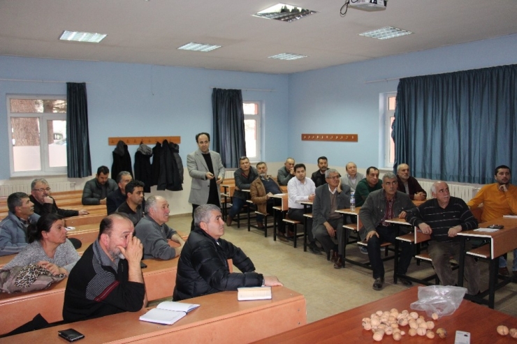 Ceviz Gönüllüleri