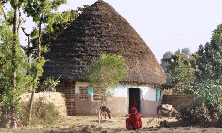 Etiyopyalıların ’Gocco’larda Yaşam Mücadelesi