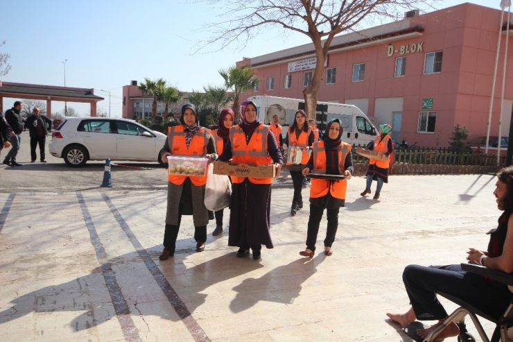 Kadınlardan Zeytin Dalı Harekatına Tam Destek