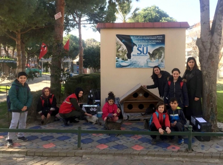 Sokak Kedileri İçin ’Kedi Evi’