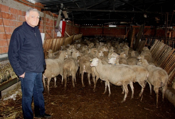 "300 Koyun Projesi Cumhuriyet Tarihi Boyunca Düşünülmüş En Muhteşem Projedir"