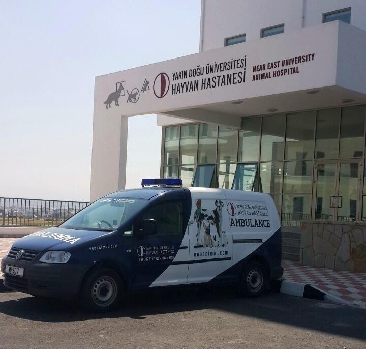 Hayvan Hastanesi 3 Yaşında