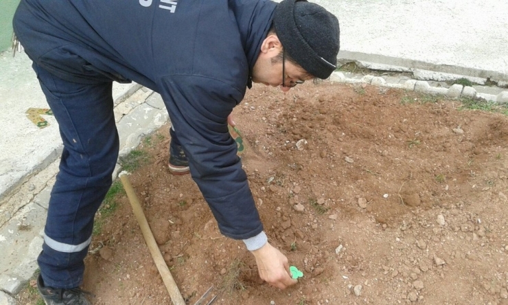 Elektronik Atıklar Çiçek Tohumuna Dönüşüyor