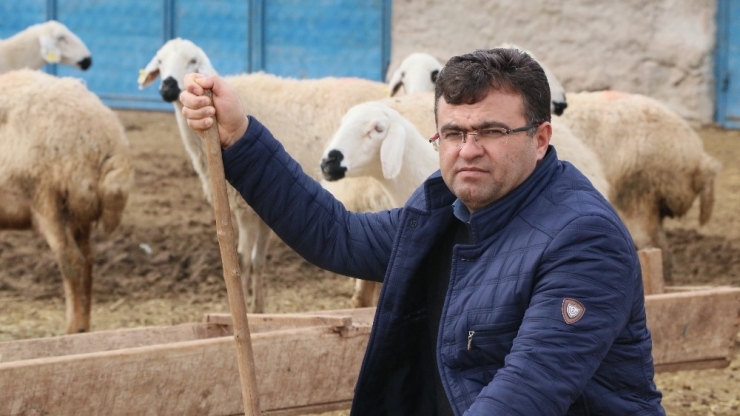 Aksaraylı Üreticiler Mera Hayvanlarının Masraflarından Şikayetçi