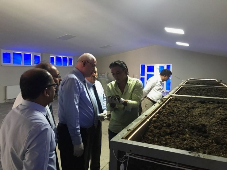 Odunpazarı’ndan ’Solucan Gübresi Eğitimi’