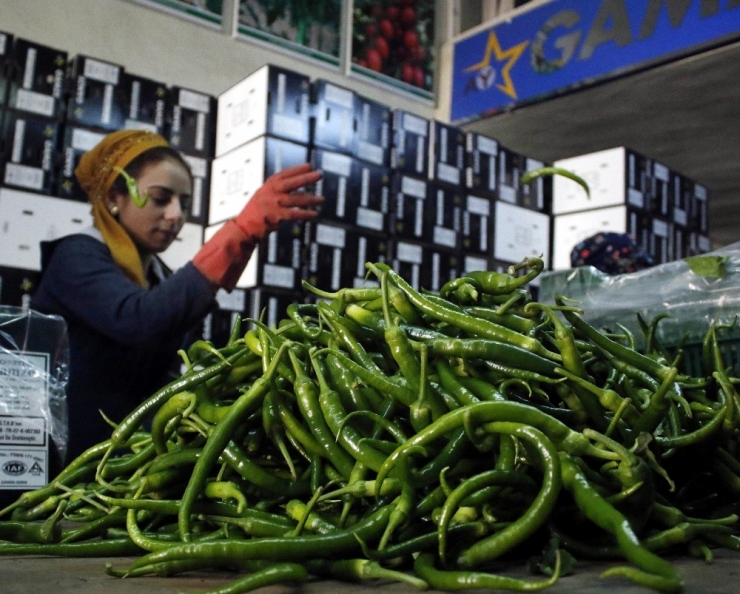 Kıl Sivri Biberin Kaymağını Aracılar Yiyor