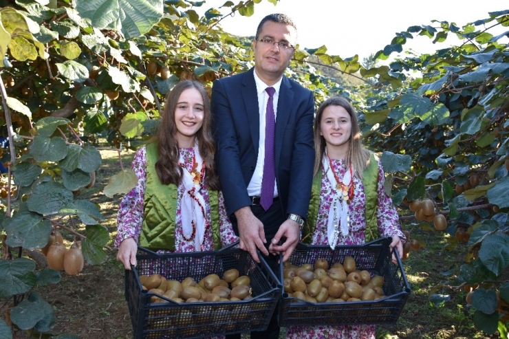 Kivi Üretiminde Rekor