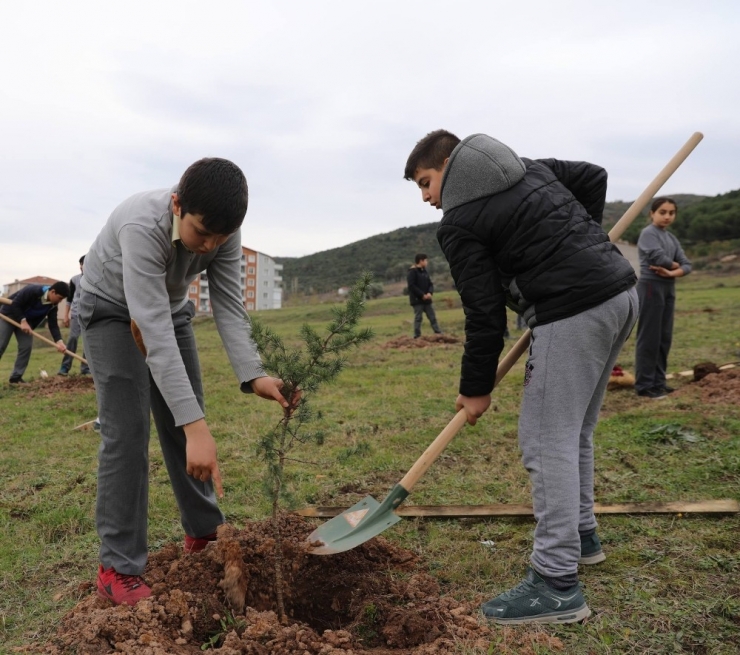 Körfez’de 30 Bin Fidan Toprakla Buluşturuldu
