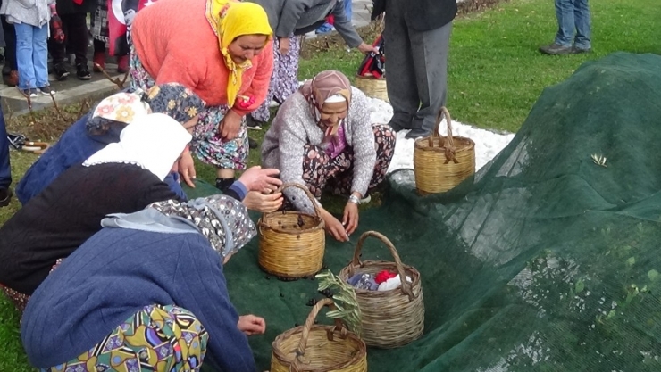 Yüzlerce Yıllık Gelenek Meci