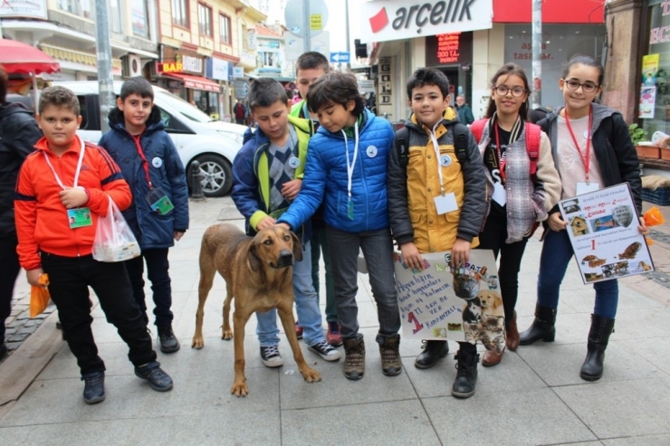 Minik Öğrenciler 1 Tl’ye Kartpostal Satarak Sokak Hayvanlarını Doyurdu