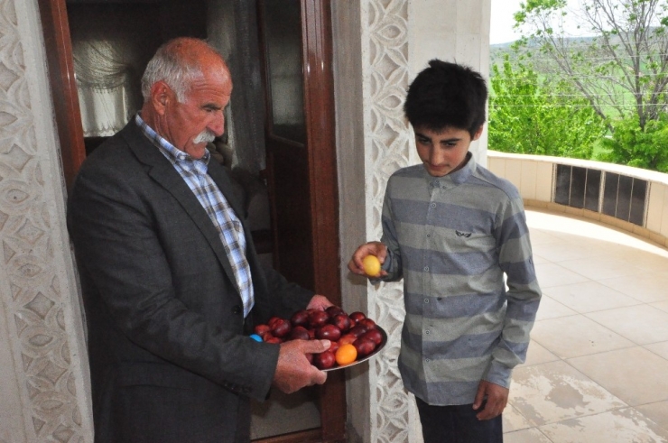 Ezidiler, Kırmızı Çarşamba Bayramı’nı Kutladı