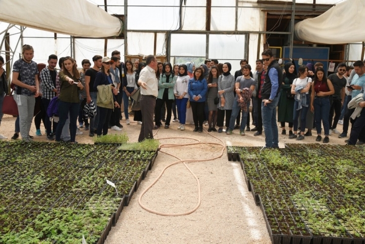 Düzce Üniversitesinden Eskişehir’e Bilimsel Gezi
