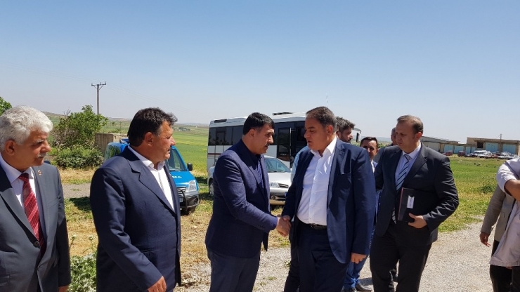 Delibaş’ın Şahadet Yıl Dönümünde Mevlidi Şerif Okutuldu