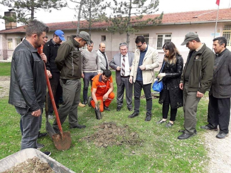 Dumlupınar’da 297 Ağaç Toprakla Buluştu