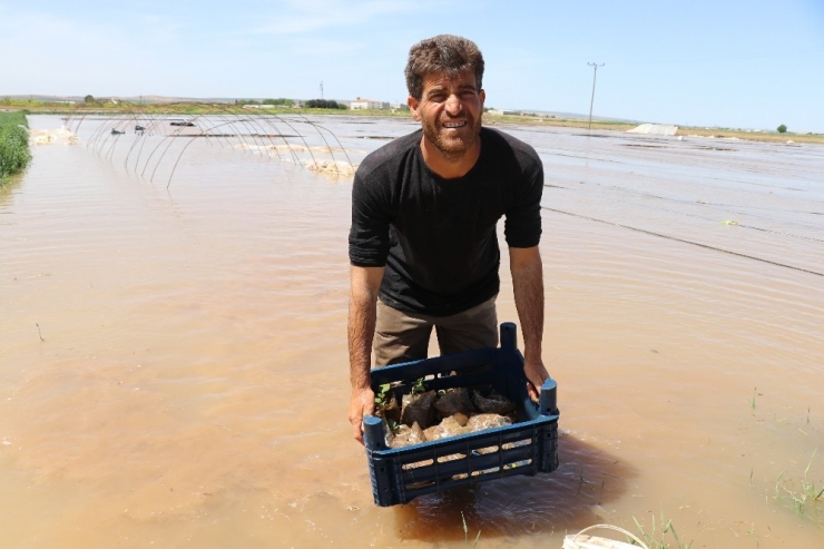 Seraları Basan Su Yüz Binlerce Liralık Zarara Neden Oldu
