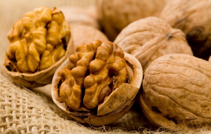 Ceviz Yaşlanmayla Savaşıyor