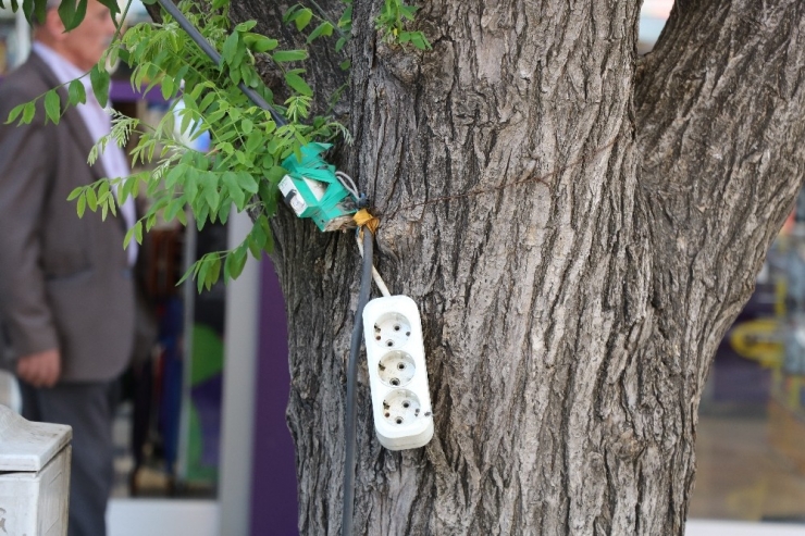 Ağaca Çekilen Üçlü Priz Tehlike Saçıyor