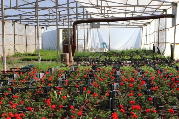 Kırıkkale Baharda Rengarenk Olacak