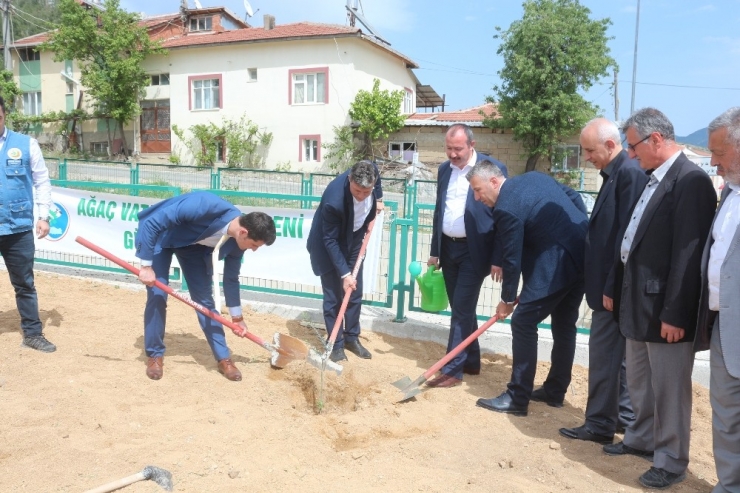 Sarıcakaya’ya Bin Zeytin Fidanı Daha Dikildi