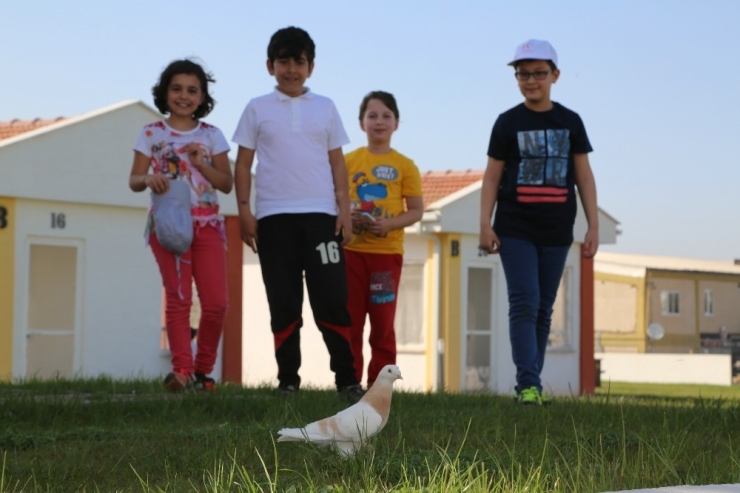 Çocuklar Odunpazarı’nda Hayvan Dostlarıyla Buluştu