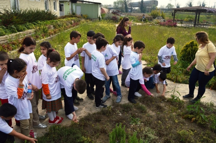Kartepeli Öğrencilerden Fidanlık Ziyareti