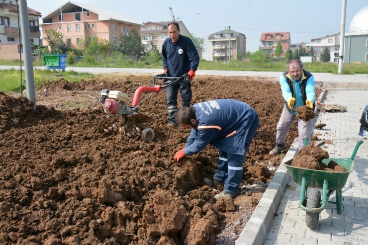Kartepe Yaza Hazırlanıyor