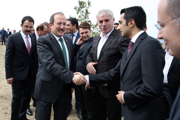 Fırat Kalkanı Ve Zeytin Dalı Harekâtı Şehitleri İçin Hatıra Ormanı Oluşturuldu