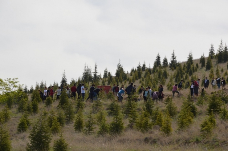 Yahşihan 2 Bin 500 Fidana Daha Kavuştu