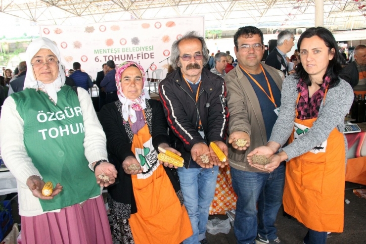 Menteşe’de ‘Yerel Tohum-fide’ Şenliği