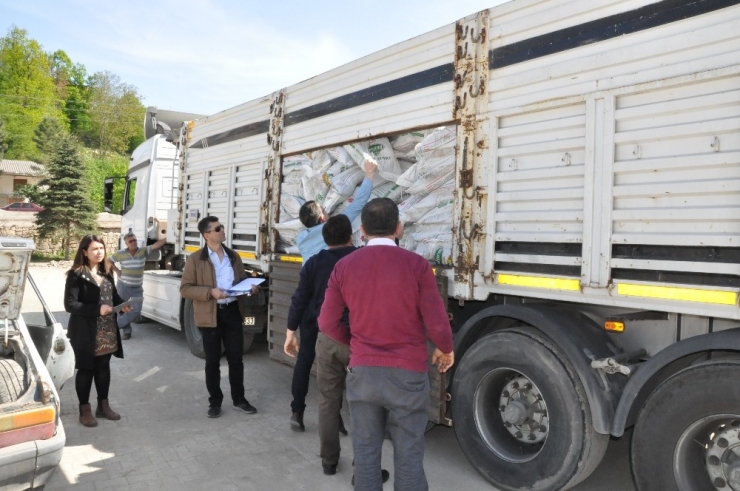 Ordu’da Organik Tarımda Sevindirici Gelişme