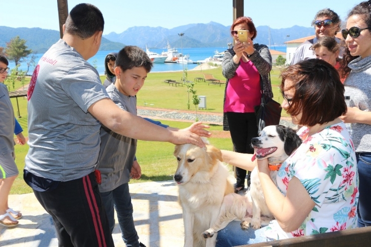 Özel Çocuklar Barınakta Can Dostlarıyla Buluştu