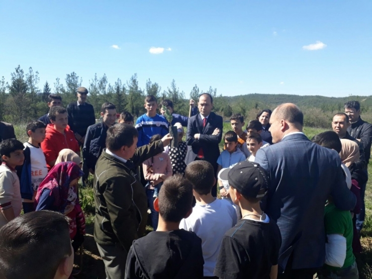 Balyalı Öğrenciler Ağaç Dikti