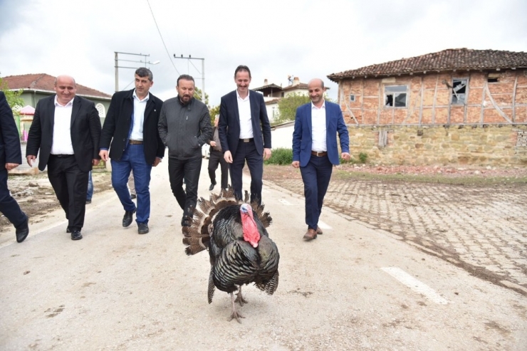 Başkan Doğan: “24 Haziran’daki Seçim Dur Demek İçin Atılan Bir Adımdır”