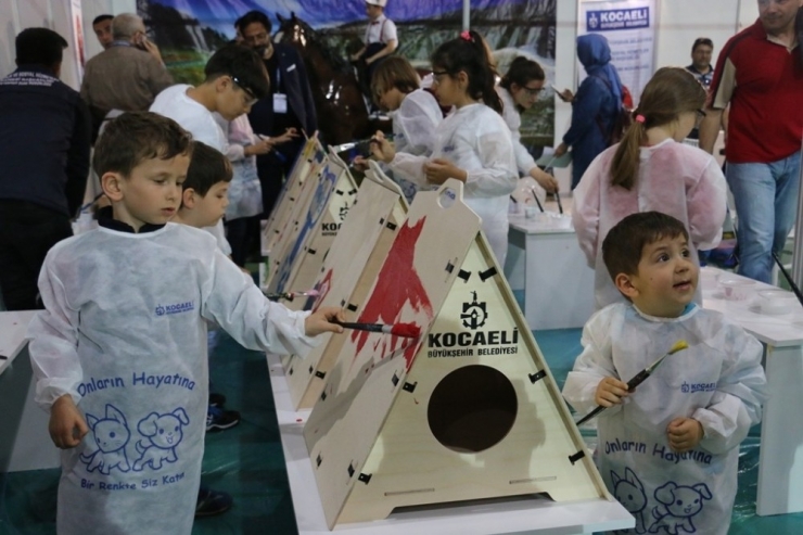 Çocuklar ’Pati Bank’ı Çok Sevdi