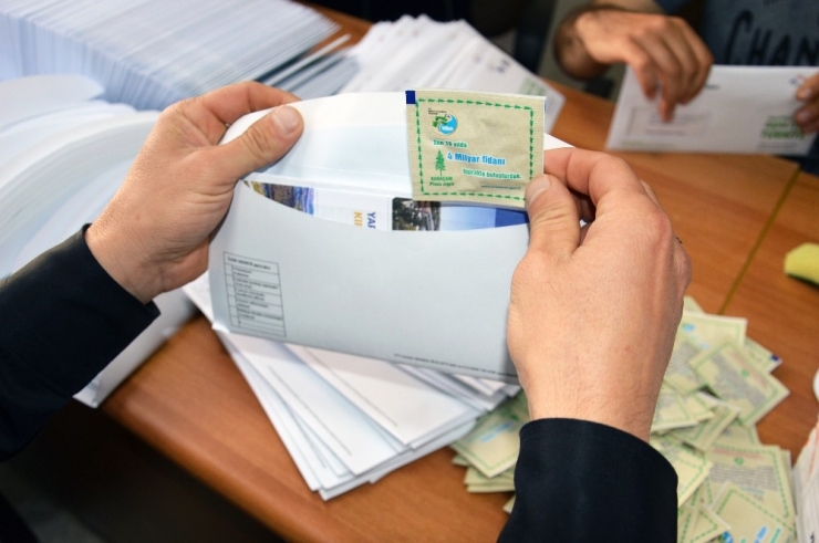 Kırıkkale’de 85 Bin Haneye Karaçam Tohumu