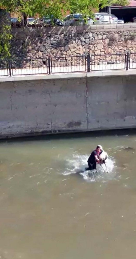 Harşit Çayı’ndaki Köpeği Kurtarmak İçin Seferber Oldular
