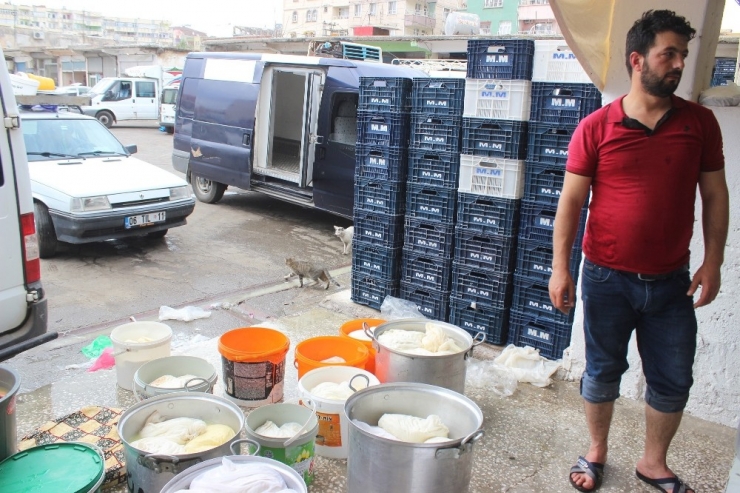 Günde 100 Ton Peynir Üretilen Siverek’te Patentli Üretici Yok