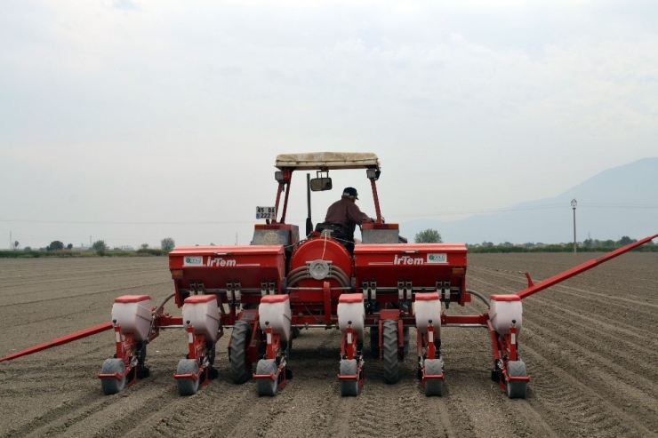 Beyaz Altın Toprakla Buluştu Üretici Destek İstedi