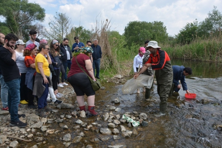 İznik Gölü Tehdit Altında