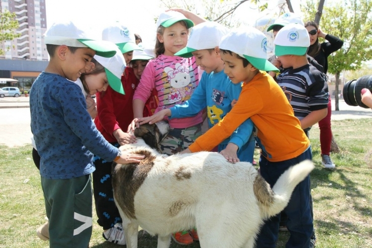 Odunpazarı’ndan Sokaktaki Dostlara Yardım Eli
