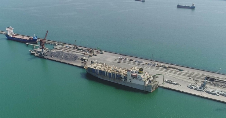 Brezilyalı İneklerin Kokusu Şehri Sardı