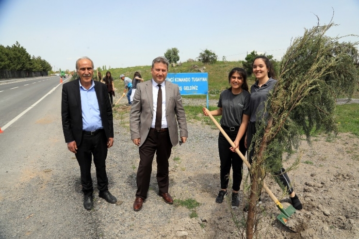 Şehit Komandolar Caddesi’nde Ağaçlandırma