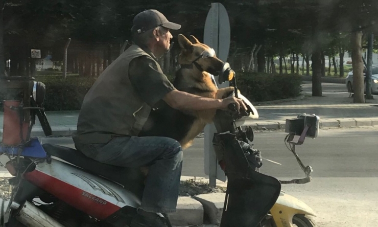 Trafikte Eğlenceli Yolculuk
