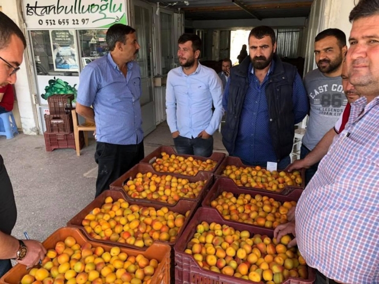 Mut’ta Kaliteli Kayısı Ve Erik Üreticilerle Tüccarın Yüzünü Güldürdü