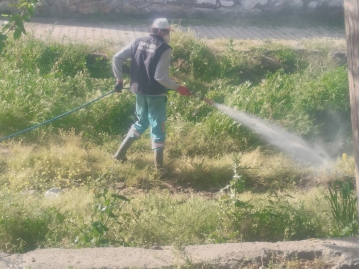 Burhaniye’de Yeşil Alanlar Bakıma Alındı